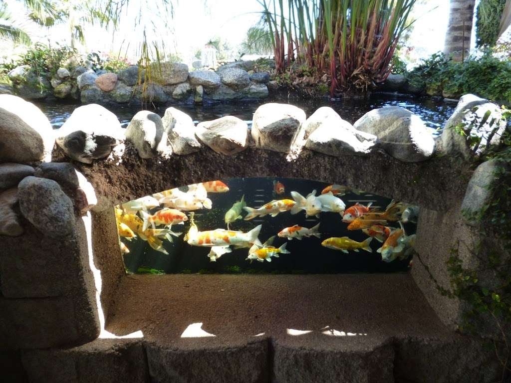 Koiland, Inc | Custom Koi Pond Designs, Supplies & Maintenance | 1757 Bittersweet Hill, Vista, CA 92084, USA | Phone: (760) 631-4900