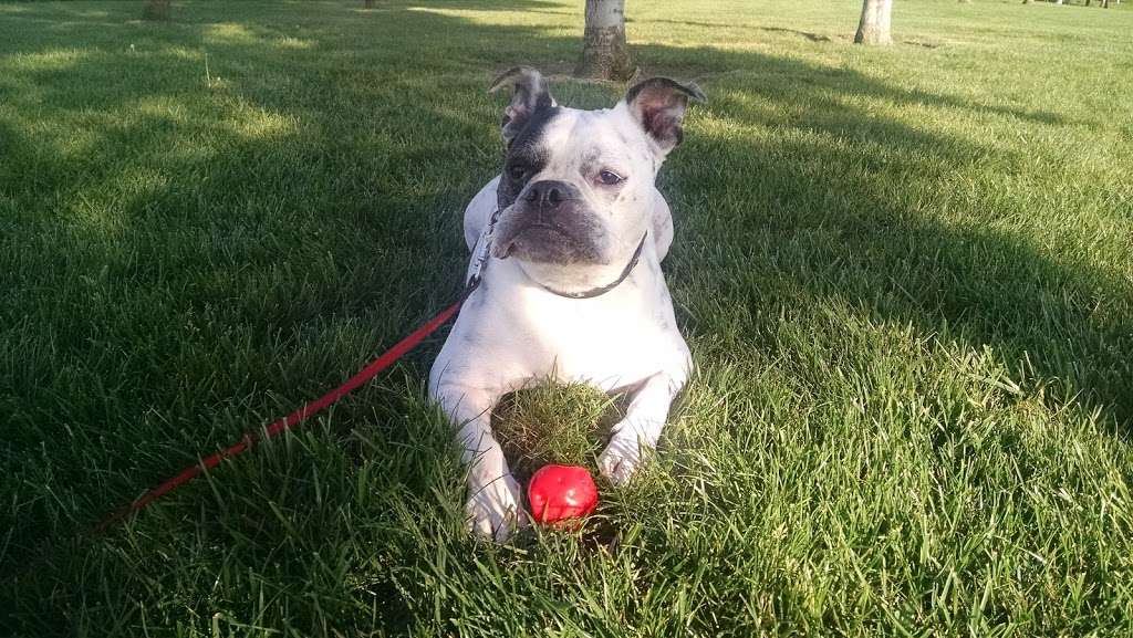 Chaparral Park | 5159 Prewett Ranch Dr, Antioch, CA 94531, USA