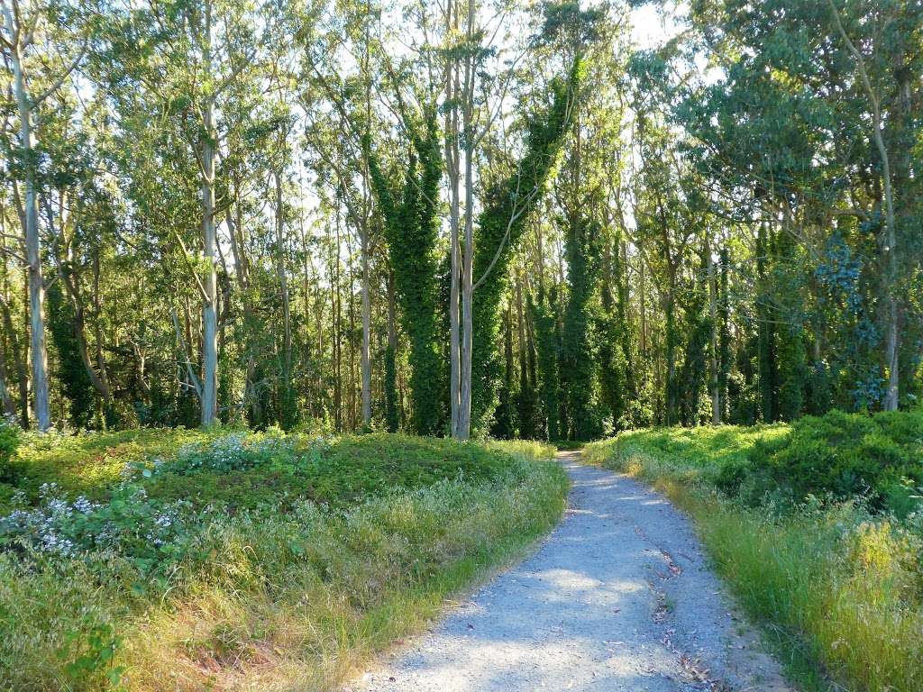 Old Guadalupe Ridge Trail | Old Guadalupe Trail, Daly City, CA 94014, USA