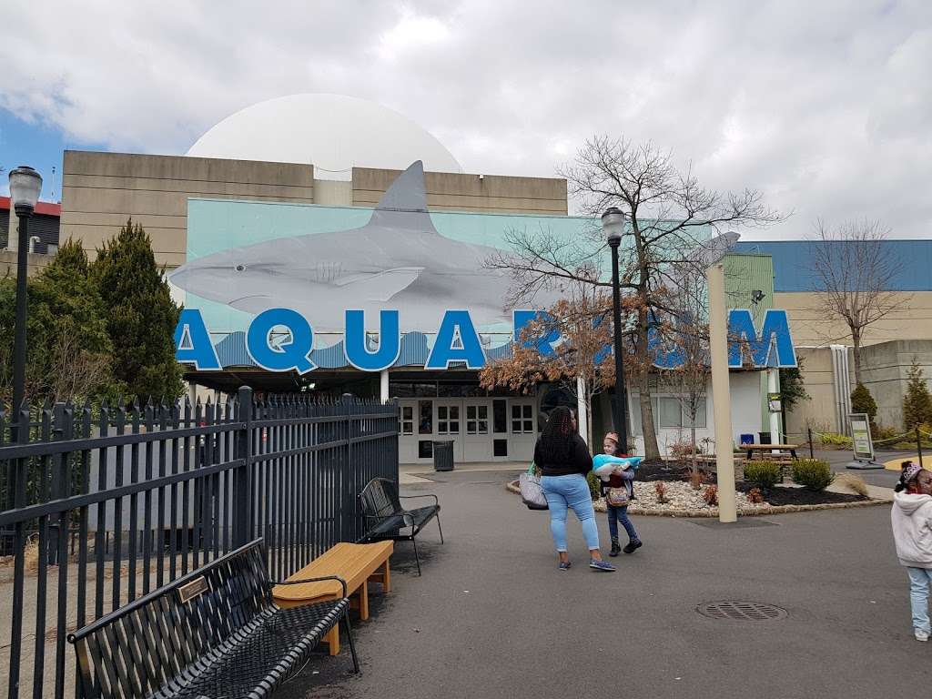 Camden Adventure Aquarium | Camden, NJ 08103, USA