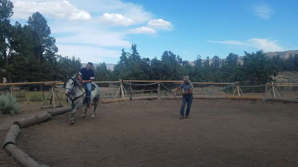 Southern California Horseback Trail Rides (American Jousting All | 15568 Greenleaf Springs Rd, Frazier Park, CA 93225, USA | Phone: (661) 245-4000