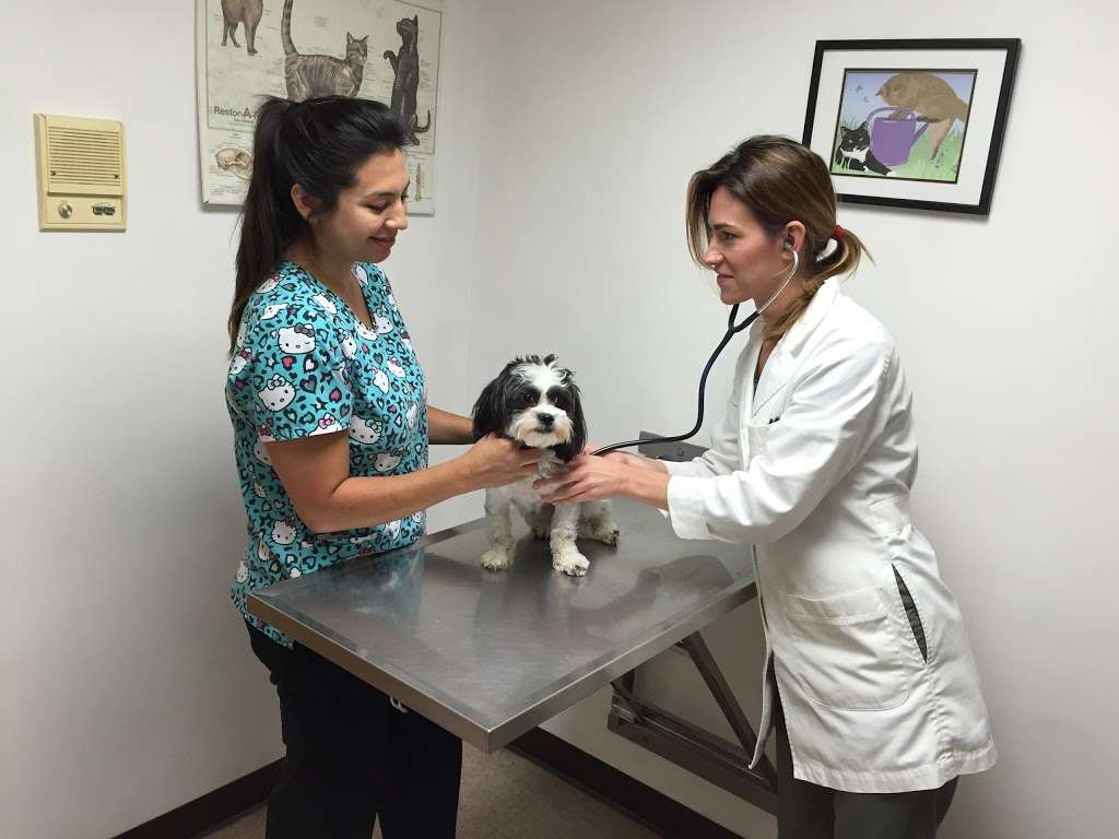 Linganore Veterinary Clinic | 11717 Old National Pike, New Market, MD 21774, USA | Phone: (301) 865-0022