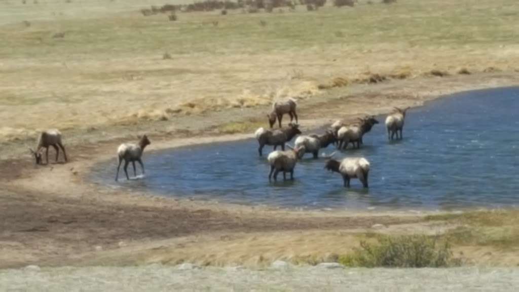 Sheep Lakes Information Station | US-34, Estes Park, CO 80517, USA | Phone: (970) 586-1206