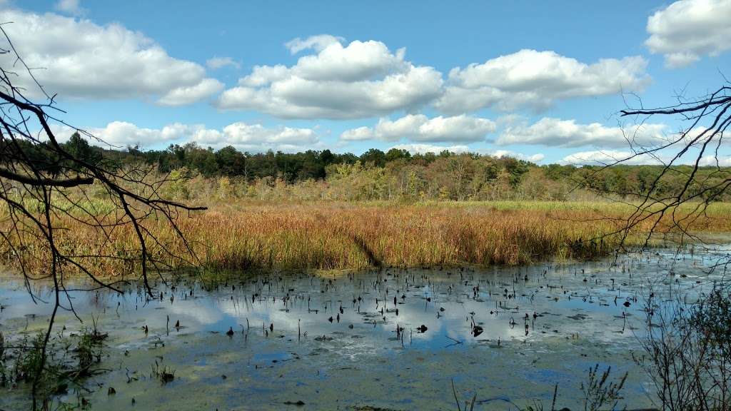 Black River Wildlife Management Area | Chester, NJ 07930, USA | Phone: (908) 879-5100