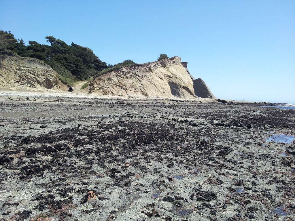 Agate Beach County Park | 350 Ocean Pkwy, Bolinas, CA 94924, USA