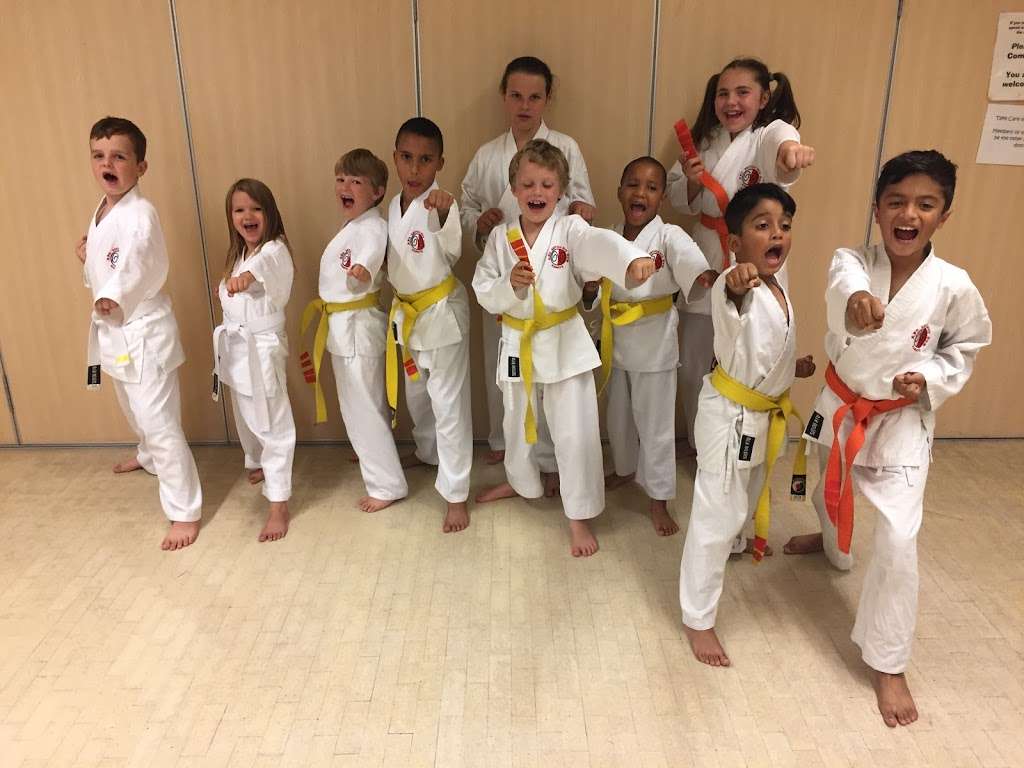 Seitou Ryu Karate West Thurrock | St Clements Church Hall, 567 London Road, Grays RM20 4AL, UK | Phone: 07899 827476