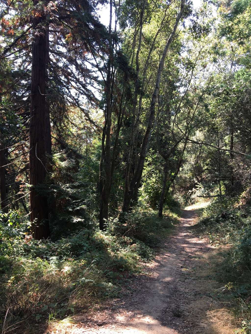 Charmichael Trailhead | Aptos, CA 95003