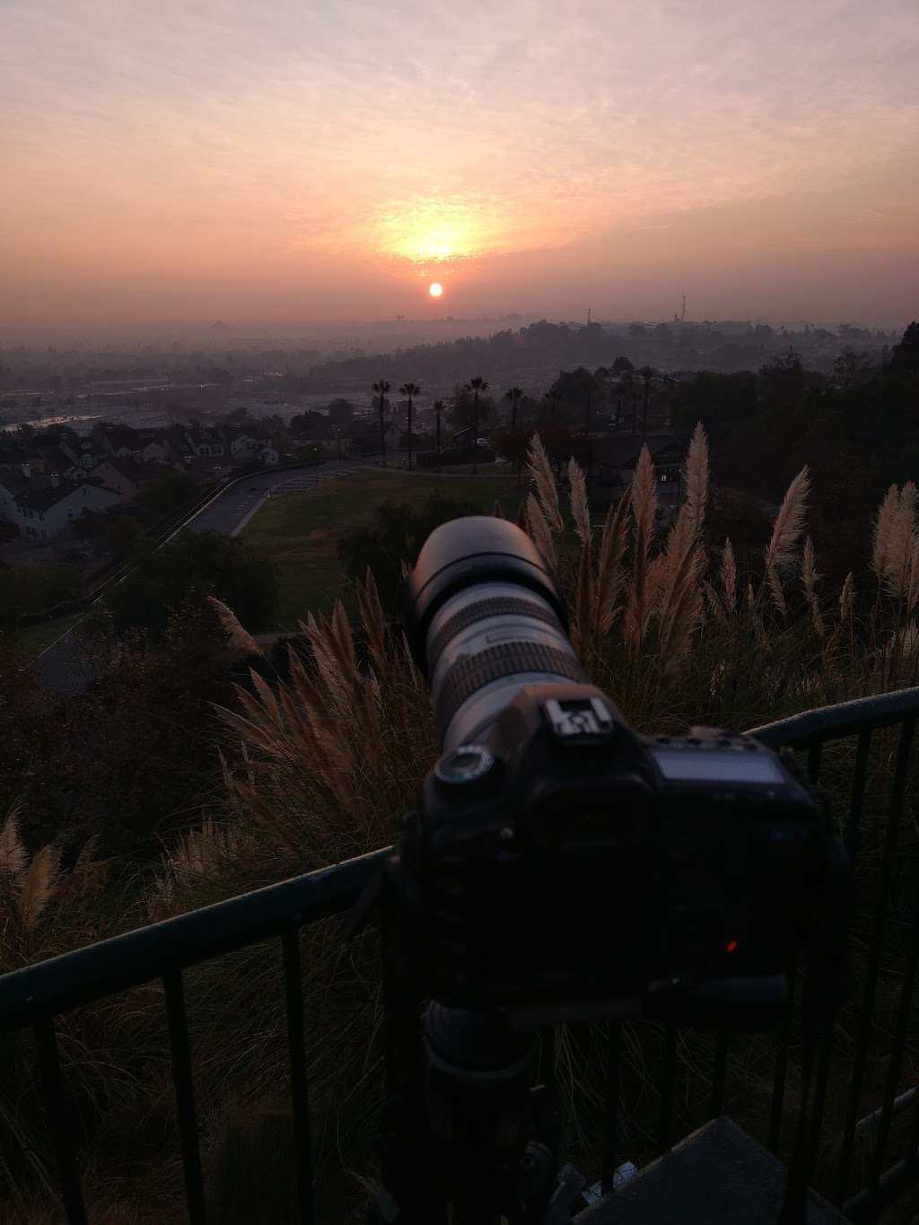 View Point For Sunrise | 2271 Temple Ave, Signal Hill, CA 90755