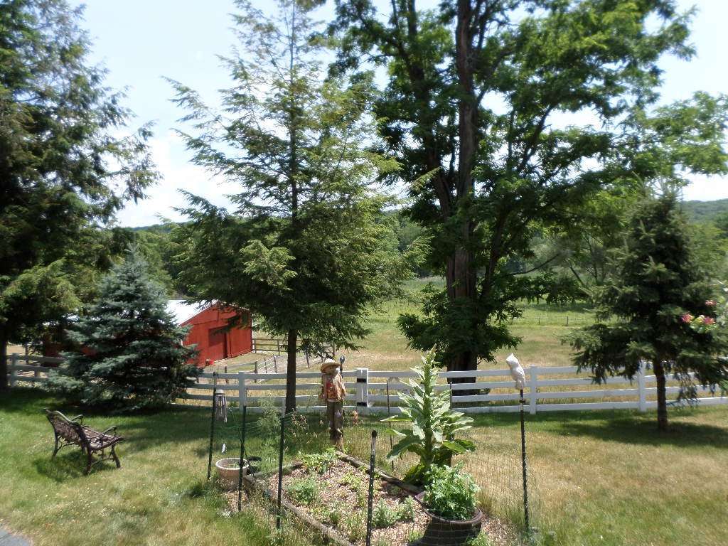 Stellas Barn and Boarding - Therapeutic Farm NJ | West Mountain Road, Sparta Township, NJ 07871, USA | Phone: (201) 832-1508