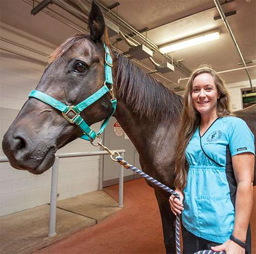 Centaur Equine Specialty Hospital | 350 W Bassett Rd, Shelbyville, IN 46176, USA | Phone: (317) 398-1980