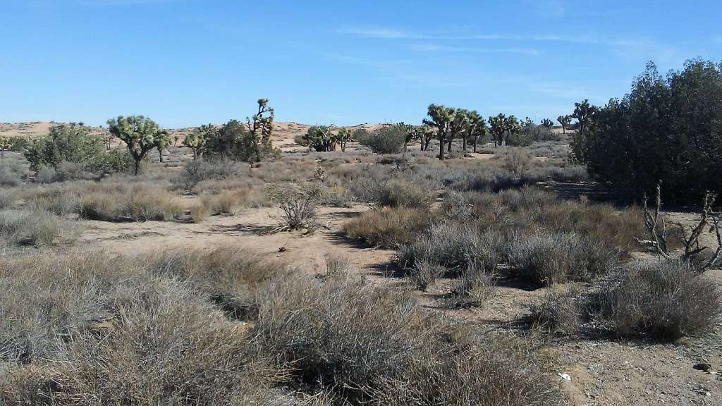 Barrel Springs Hiking Trail | Barrel Springs Rd, Palmdale, CA 93550, USA