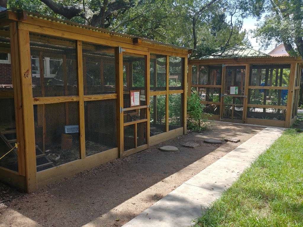 Nature Discovery Center | 7112 Newcastle St, Bellaire, TX 77401, USA | Phone: (713) 667-6550