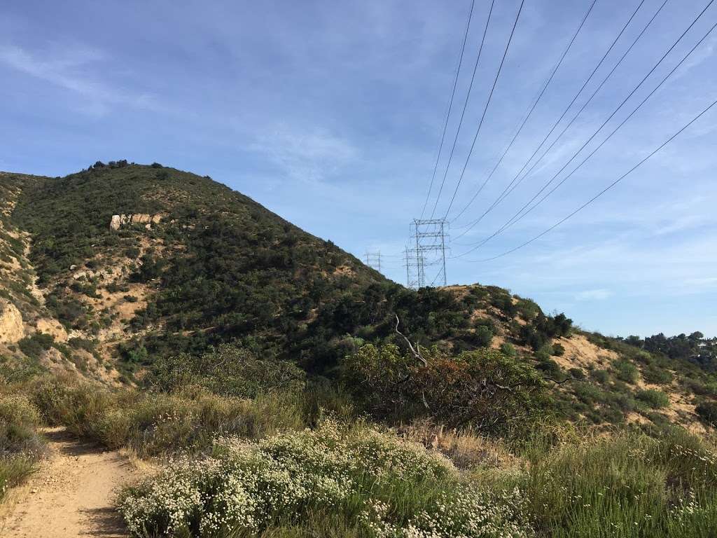 Wisdom Tree Trailhead | Unnamed Road, Los Angeles, CA 90068, USA