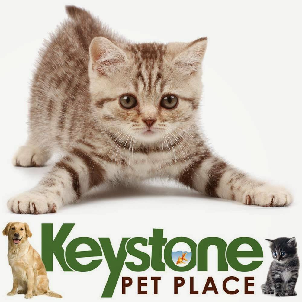 Keystone Pet Place Mount Joy | 100 W Main St, Mount Joy, PA 17552, USA | Phone: (717) 492-0027