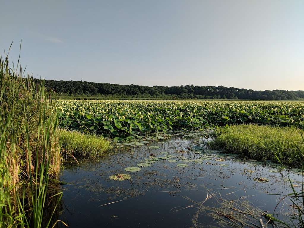 Great Meadows National Wildlife Refuge Concord Unit | Monsen Rd, Concord, MA 01742, USA | Phone: (978) 443-4661