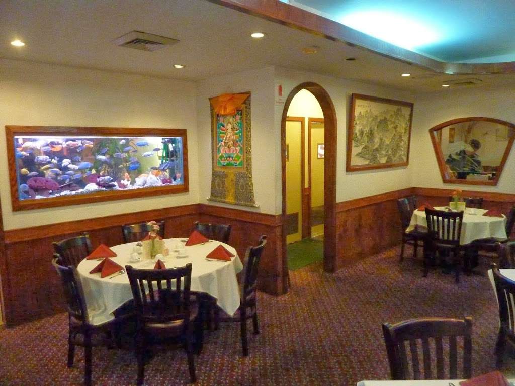 The Golden Mushroom | 425 N Highland Ave, Nyack, NY 10960, USA | Phone: (845) 358-4203