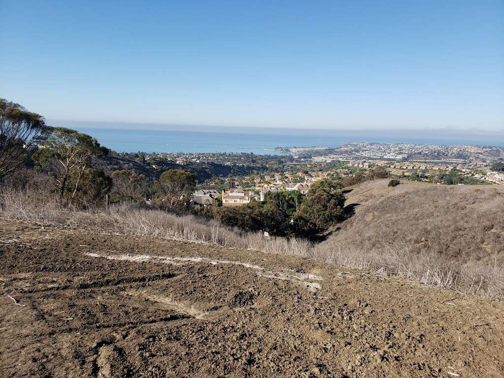 Las Ramblas Trail Head | Camino Las Ramblas, San Juan Capistrano, CA 92675, USA