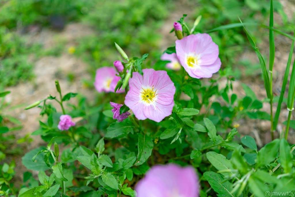 Universal City Veterans Park | 737 E Aviation Blvd, Universal City, TX 78148, USA | Phone: (210) 659-0333 Universal City Veterans Park | 737 E Aviation Blvd, Universal City, TX 78148, USA | Phone: (210) 659-0333