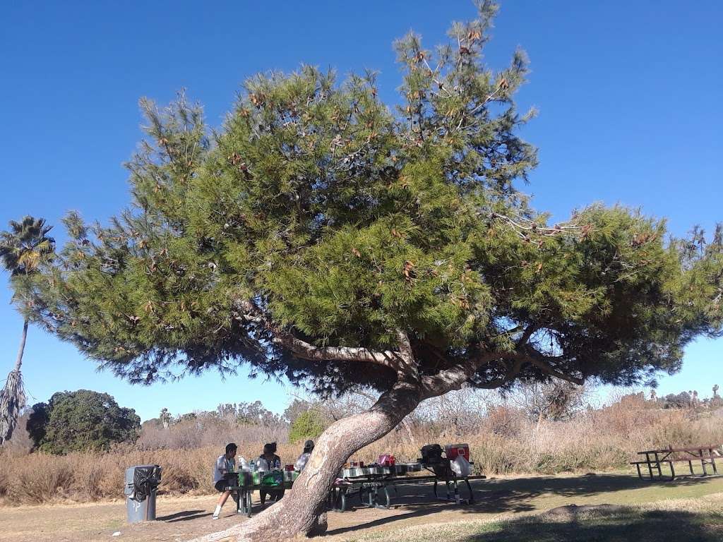 Guajome Park Lower Picnic Area | Oceanside, CA 92056, USA