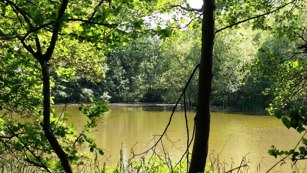 Darlands Lake Nature Reserve | London N20 8PY, UK