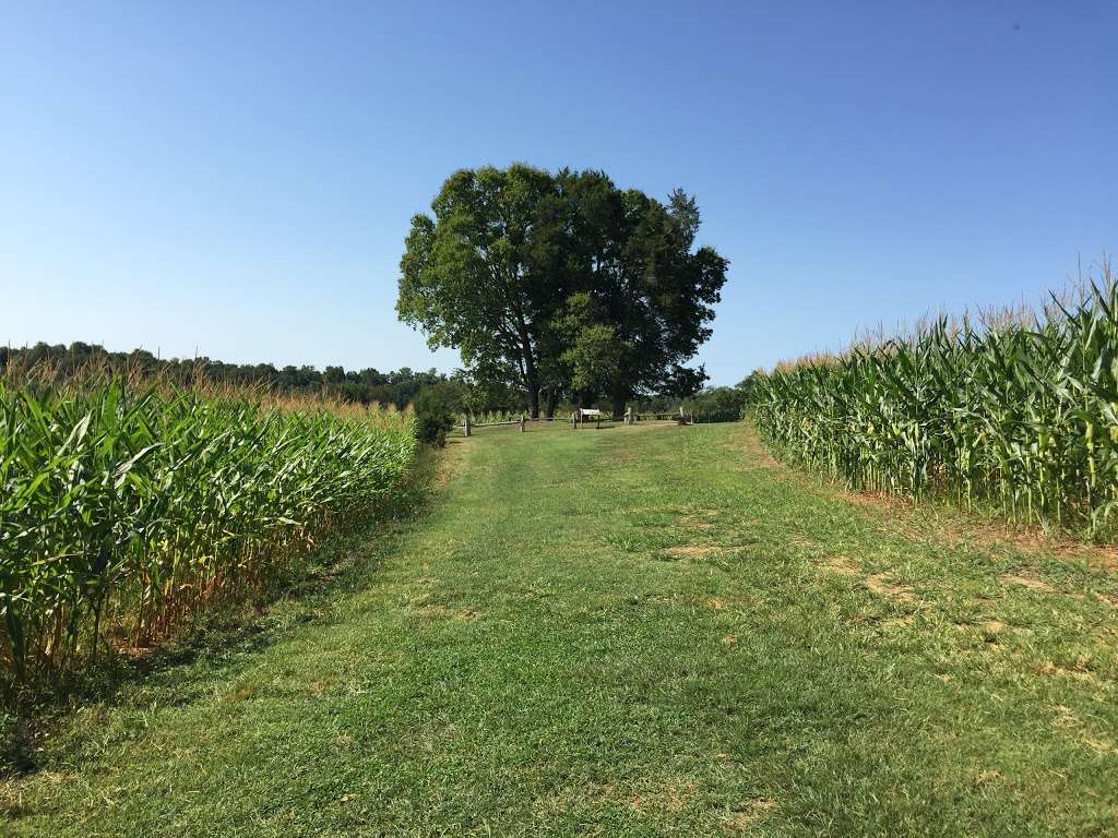 Gen. Stonewall Jacksons Arm burial site | Locust Grove, VA 22508, USA