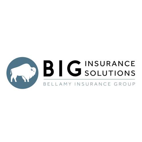 BIG Insurance Solutions | 2315 Riddle Rd, Austin, TX 78748, USA | Phone: (512) 280-5123