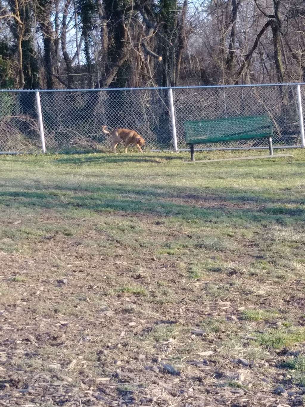 Bubbas Happy Tails Dog Park | 17257, Shippensburg, PA 17257, USA | Phone: (717) 532-7137