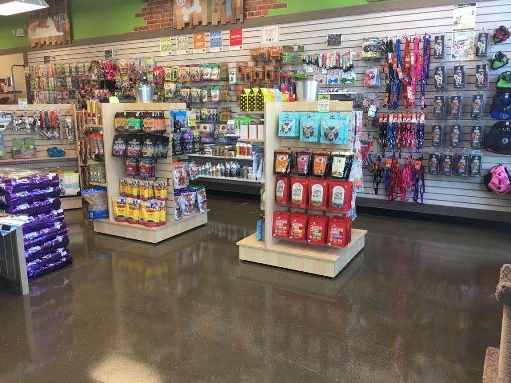 Bentleys Pet Stuff | 6424 Whitestown Pkwy, Whitestown, IN 46075, USA | Phone: (317) 769-2234