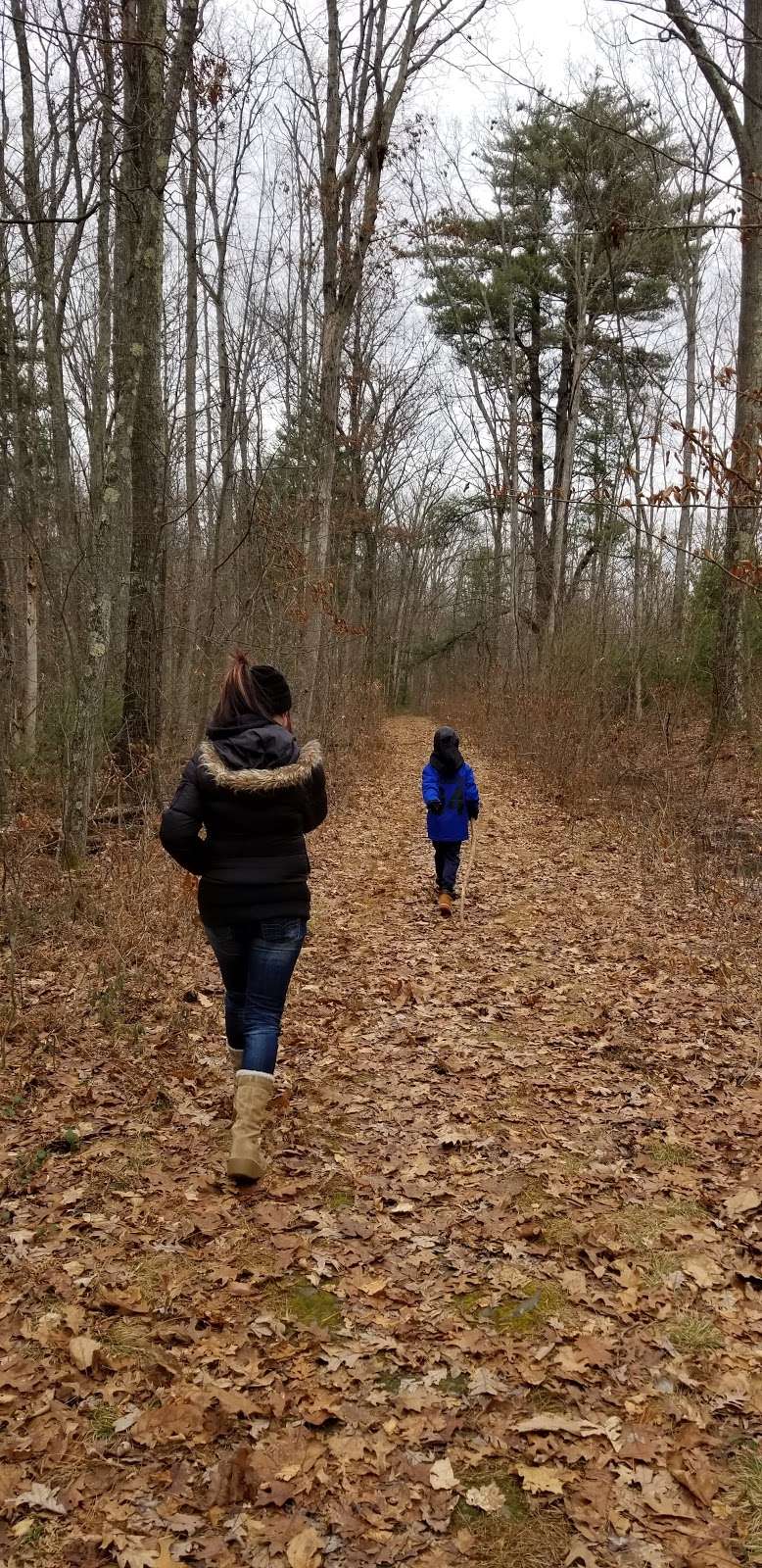 Shuman Point Hiking Trail | 1237 Purdytown Turnpike, Lakeville, PA 18438, USA