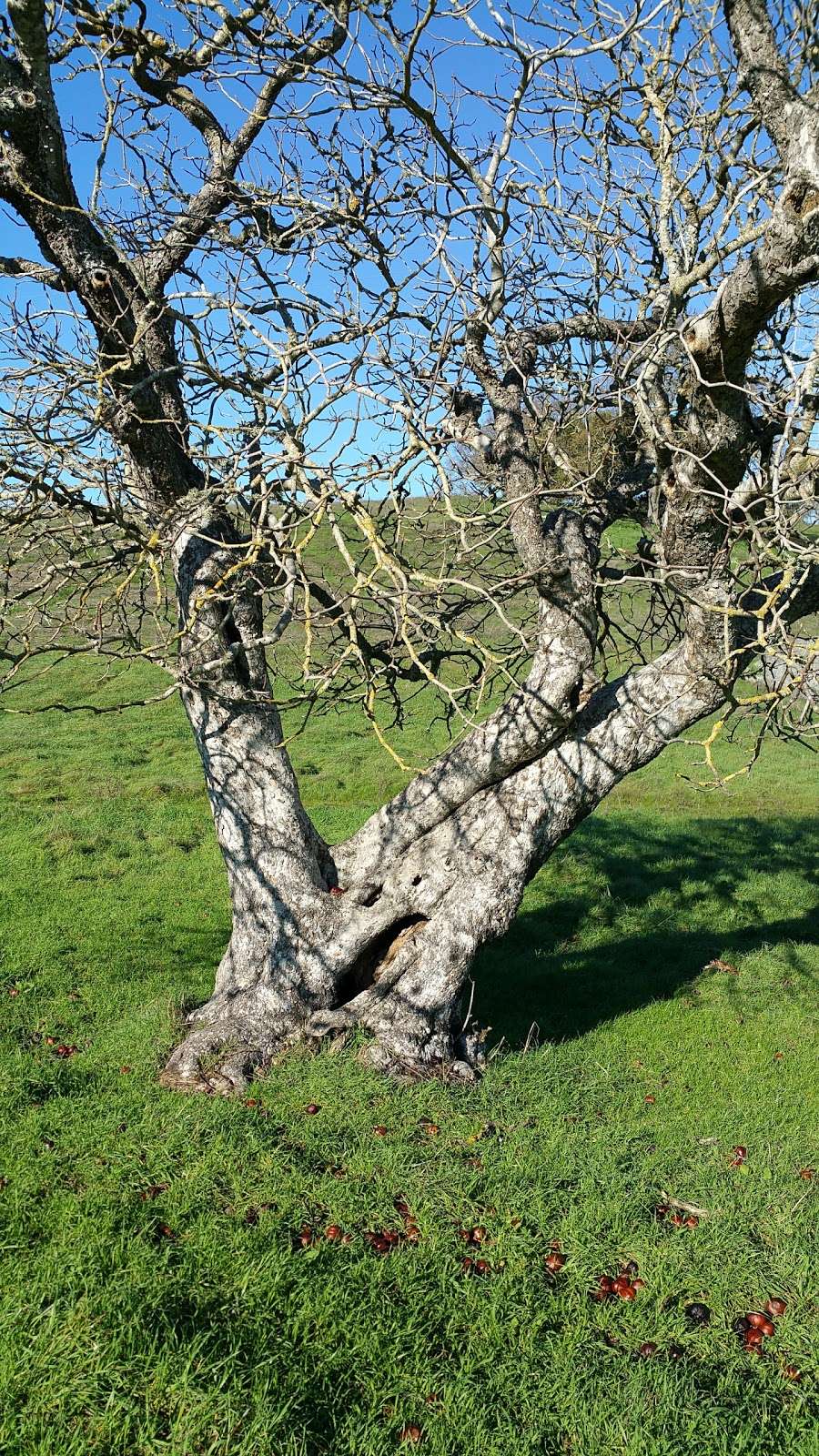 Deer Island Preserve | Novato, CA 94945, USA