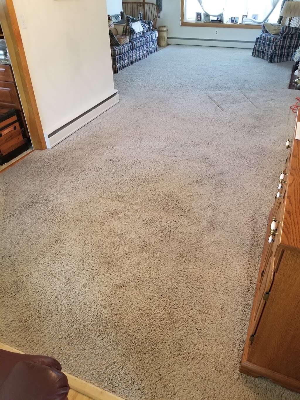 Eco-Dry Carpet Cleaning | 3020 Lochary Rd, Bel Air, MD 21015 | Phone: (443) 252-0607