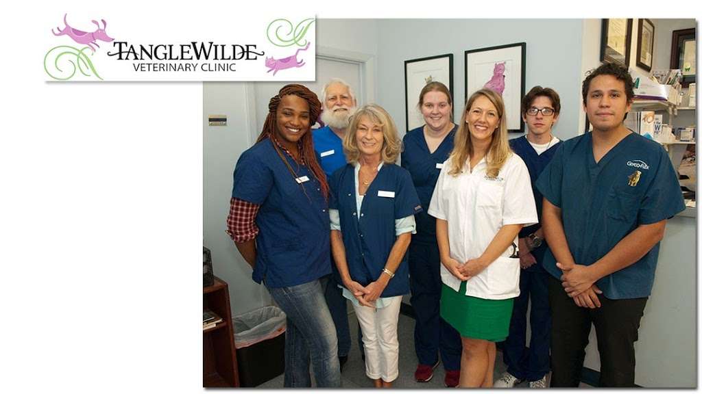 Tanglewilde Veterinary Clinic | 2717 Rockyridge Dr, Houston, TX 77063, USA | Phone: (713) 783-4044