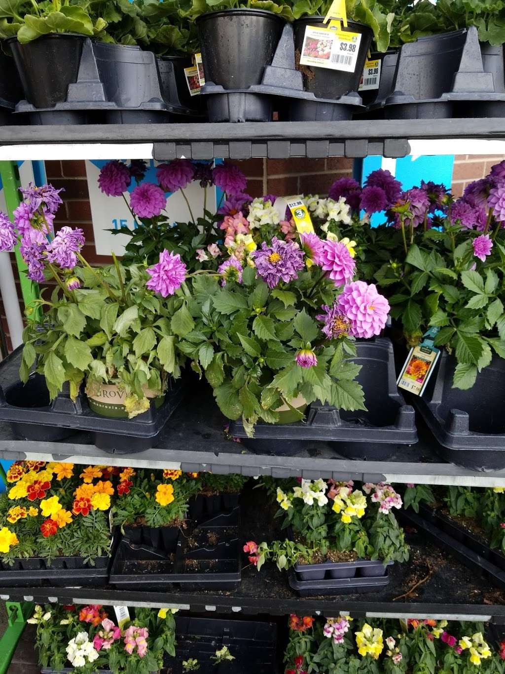 Lowes Garden Center | 2400 47th Ave, Greeley, CO 80634, USA | Phone: (970) 506-2280