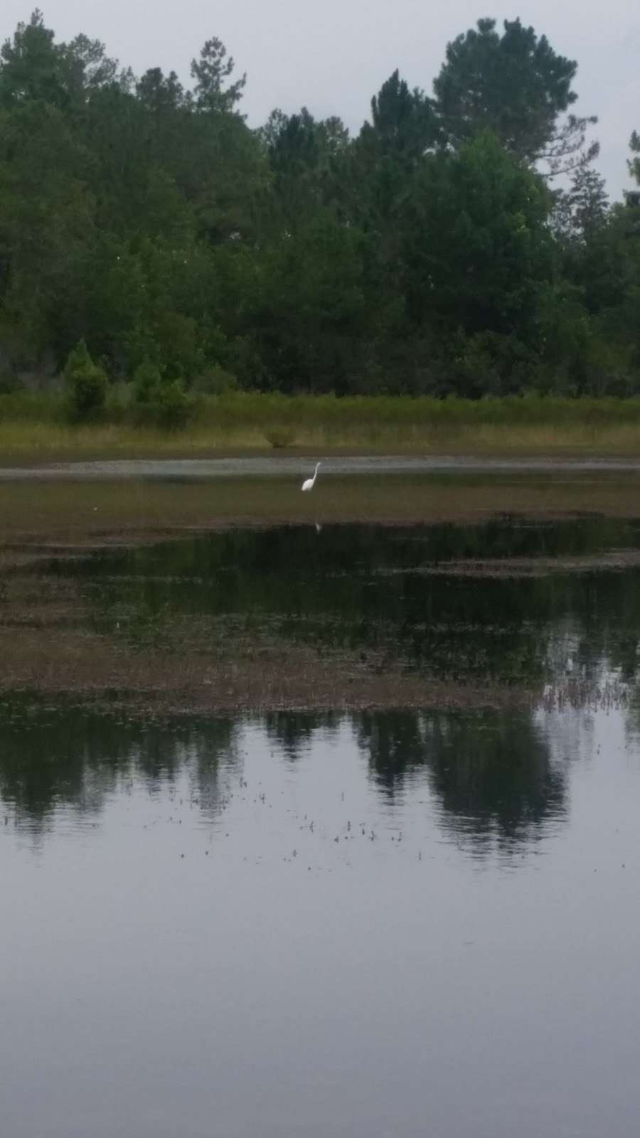 Clear Lake Mudhole | 7 Fisher Loop, Ocklawaha, FL 32179, USA