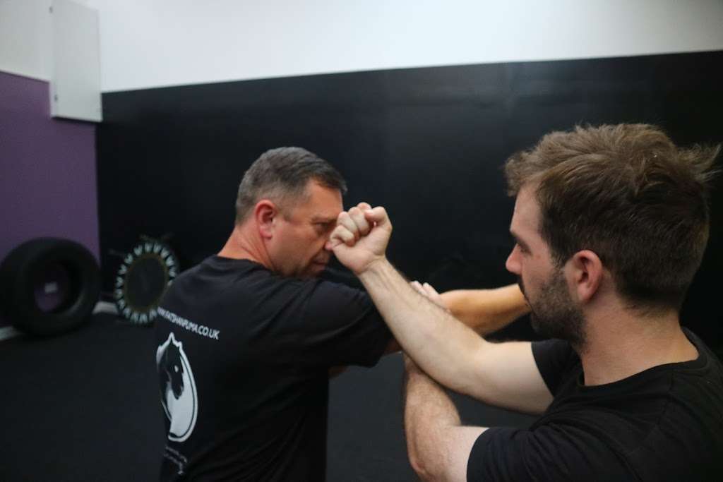 WING CHUN KUNG FU FATSHAN PUMA | Body Active Gym Unit 12, Riverside Business Centre, Harlow Rd, Harlow CM20 2HE, UK | Phone: 07855 823629