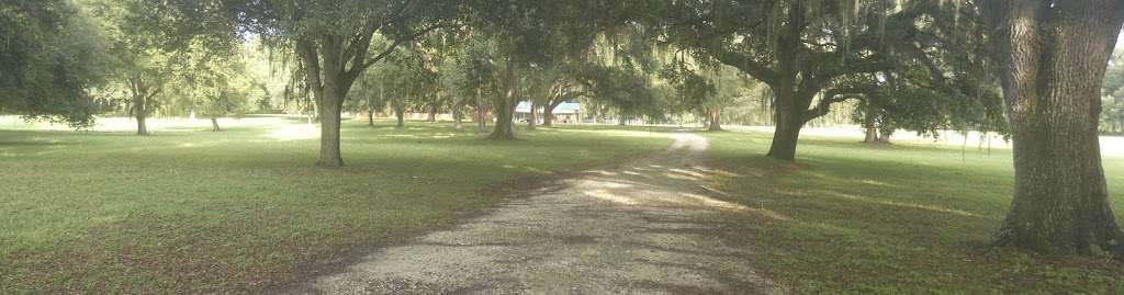 Tanner Oaks Farm | 11007 Co Rd 727, Webster, FL 33597, USA | Phone: (407) 636-0081