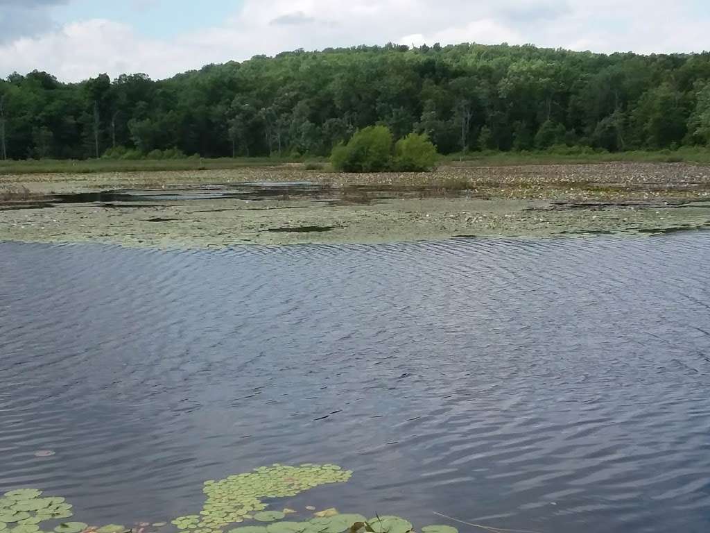 State Game Lands 56 | Upper Black Eddy, PA 18972, USA