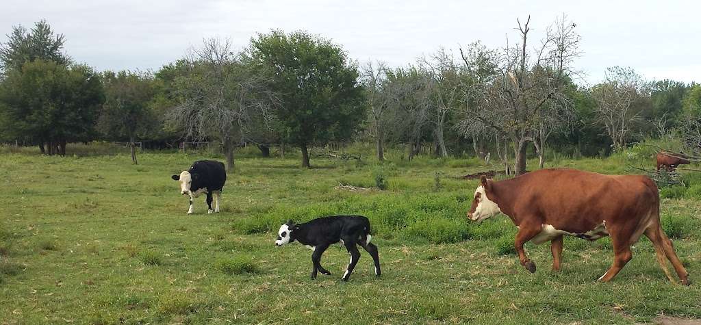 Acorn Acres Farm | 1505 S Calumet Rd, Chesterton, IN 46304, USA | Phone: (219) 214-1309