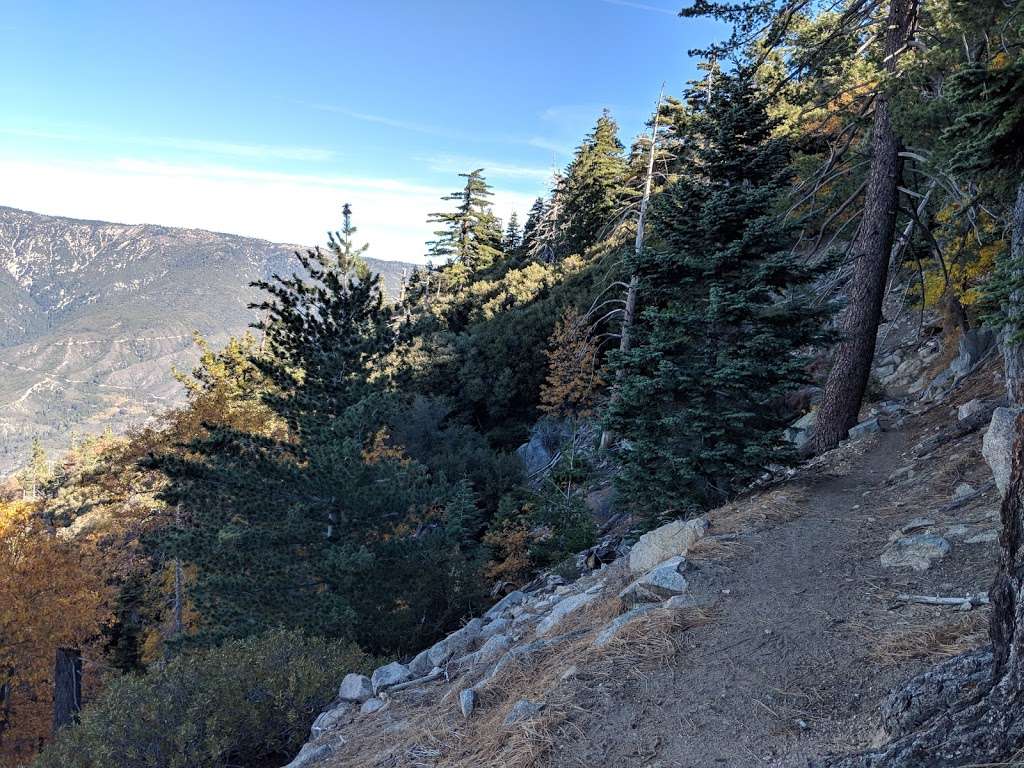 San Bernardino Peak Trail 1W07 | San Bernardino Peak Divide Trail, Angelus Oaks, CA 92305, USA