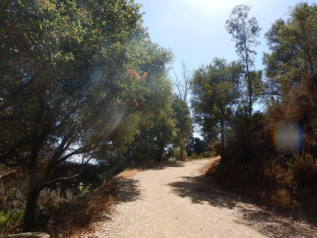 Backbone Trail Head, Will Rogers State Park | 1515 Service Rd, Pacific Palisades, CA 90272, USA