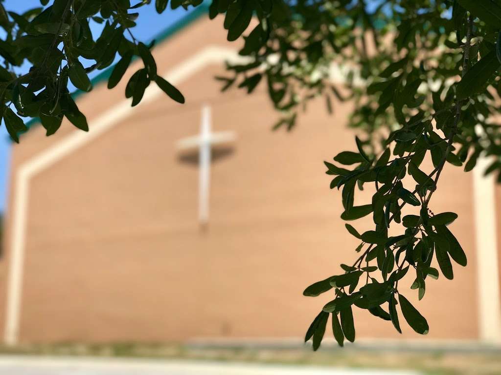Zion Lutheran Church & School | 16161 Marsh Rd, Winter Garden, FL 34787, USA | Phone: (407) 656-5751