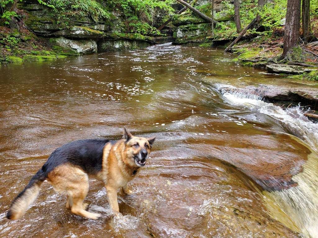 Evergreen Trail at Ricketts Glen | Benton, PA 17814