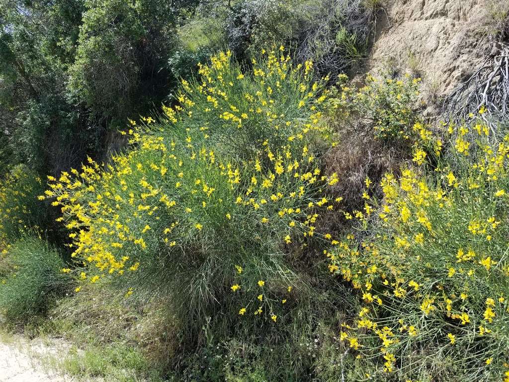 Verdugo Mountains Open Space Preserve | Oakmount View Dr, Glendale, CA 91209, USA | Phone: (818) 880-0363