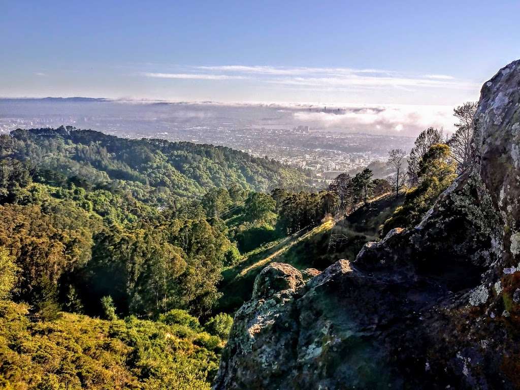 Grizzly Peak Vista Point | Berkeley, CA 94705, USA