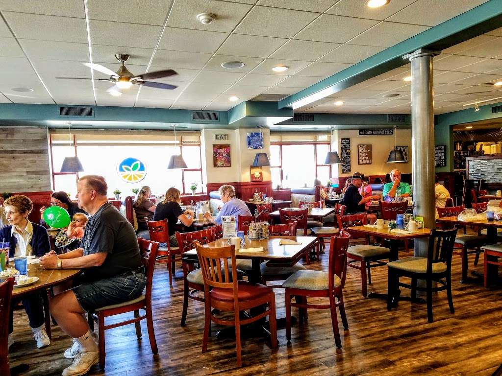 BerryField Cafe | 4028 147th St, Midlothian, IL 60445, USA | Phone: (708) 388-2000