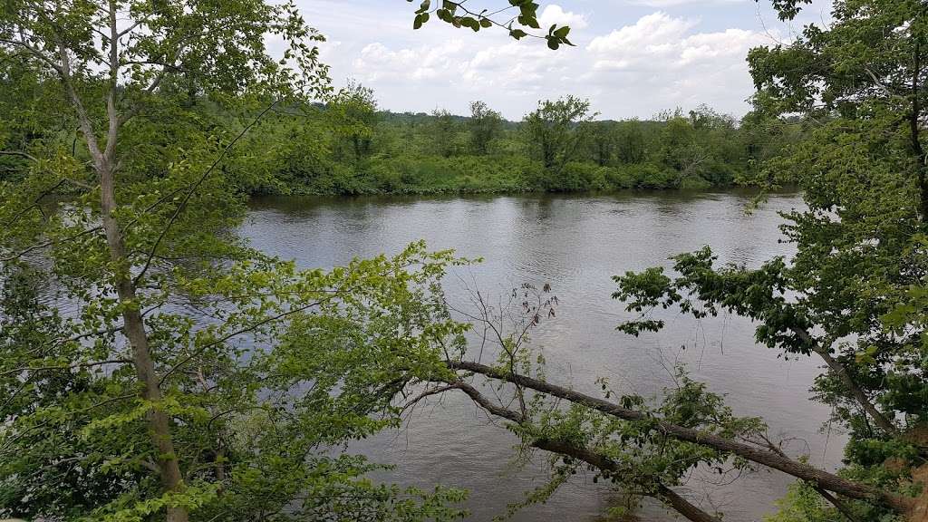 Abbott Marshlands in Bordentown, NJ 08505, USA