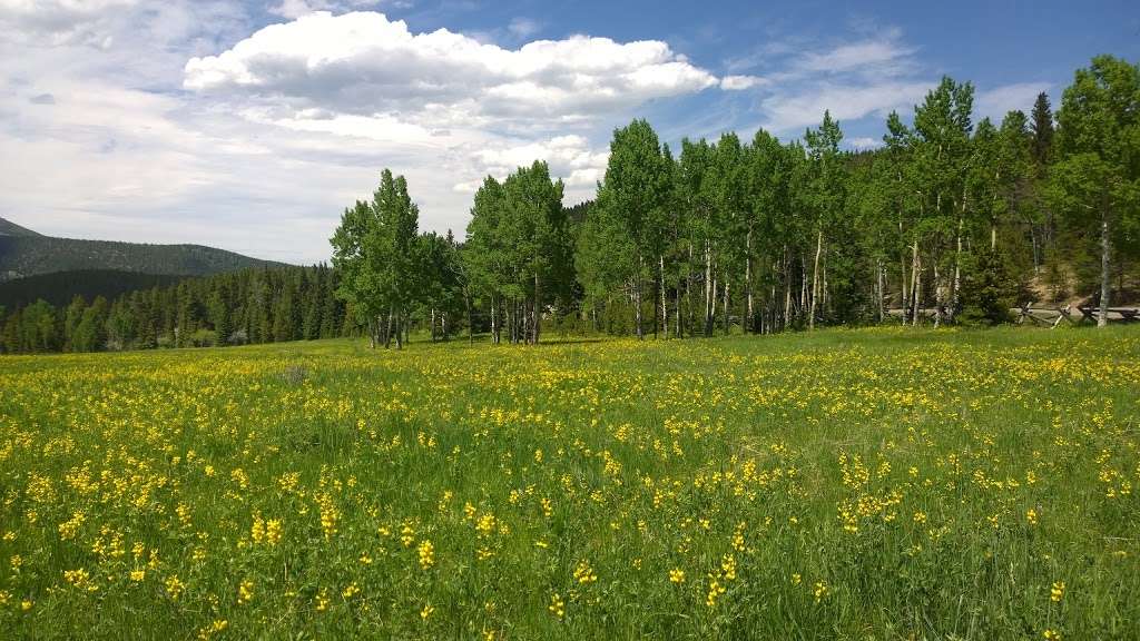 Beaver Brook Watershed Trailhead | 25123 Squaw Pass Rd, Evergreen, CO 80439