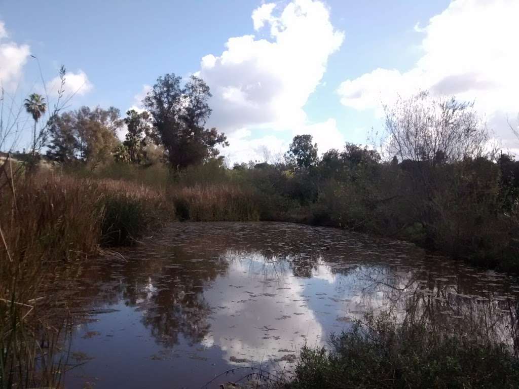 Anstine-Audubon Nature Preserve | 2437 Hutchison St, Vista, CA 92084, USA | Phone: (760) 295-1548