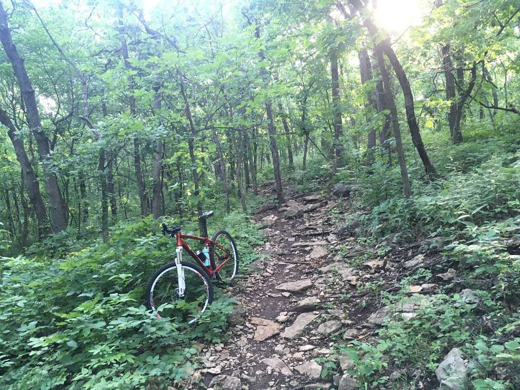 Nature Trail | Shawnee Mission Park, Shawnee, KS 66218, USA