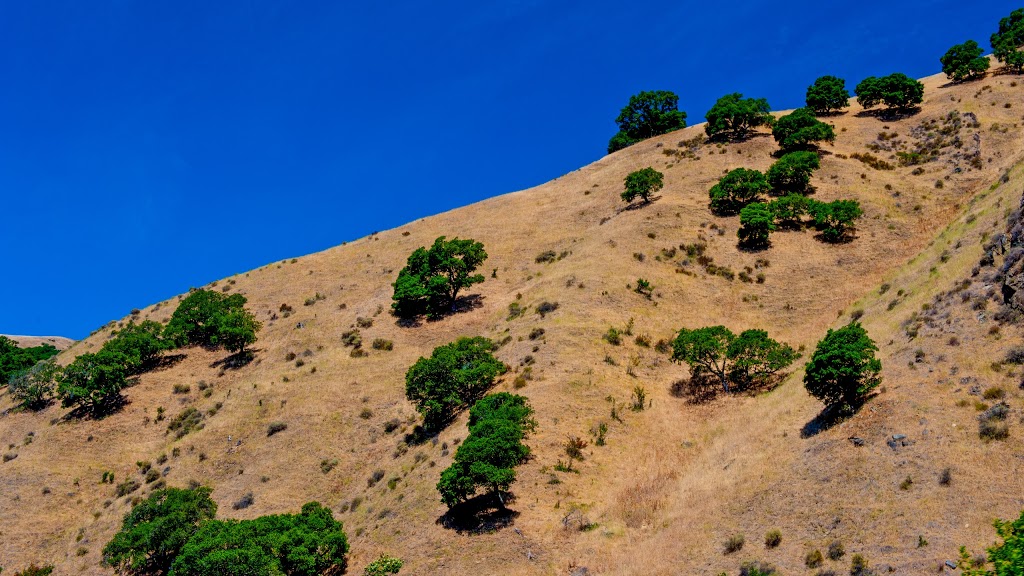 Sunol Treehouse | Kilkare Rd, Sunol, CA 94586, USA